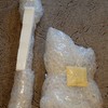 BassJapanUSA.ru